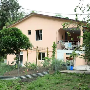 Appartement Maison Lavanne, Saint-Joseph
